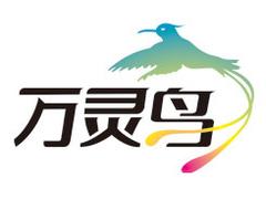 市轄區微信管家——技術專業的微信營銷優選萬靈鳥信息技術公司