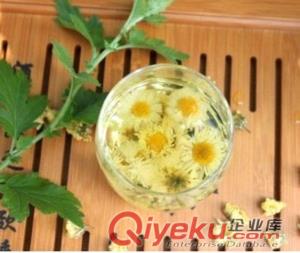 決明菊花茶代加工委托加工顆粒劑粉劑委托加工OEM貼牌生產(chǎn)原始圖片3