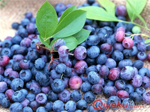 藍莓花青素固體飲料代加工顆粒劑粉劑沖飲品委托加工原始圖片2