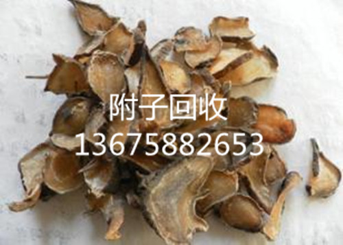 附子附片價(jià)格13675882653