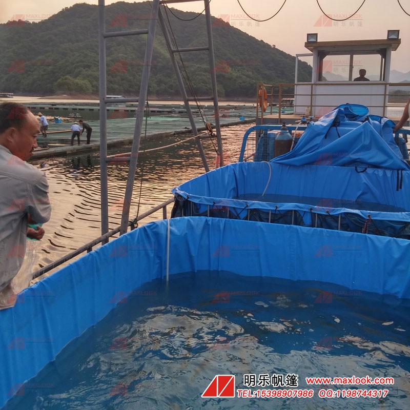 圖紙加工防水篷布水池 養殖場帆布魚池 室內pvc蓄水篷布池