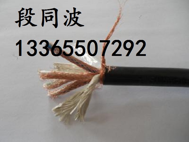 屏蔽计算机软电缆DJYVPR-3*2*1.0