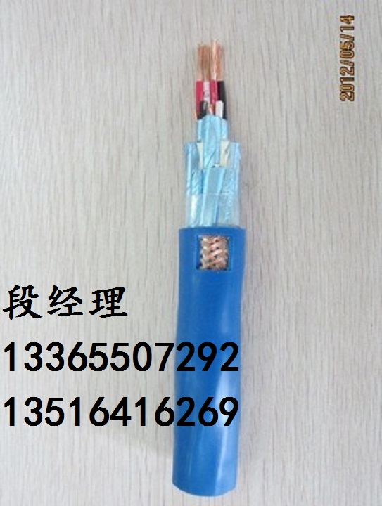 本安型阻燃計(jì)算機(jī)屏蔽電纜ZR-IA-DJYPJVP-7*2*1.0