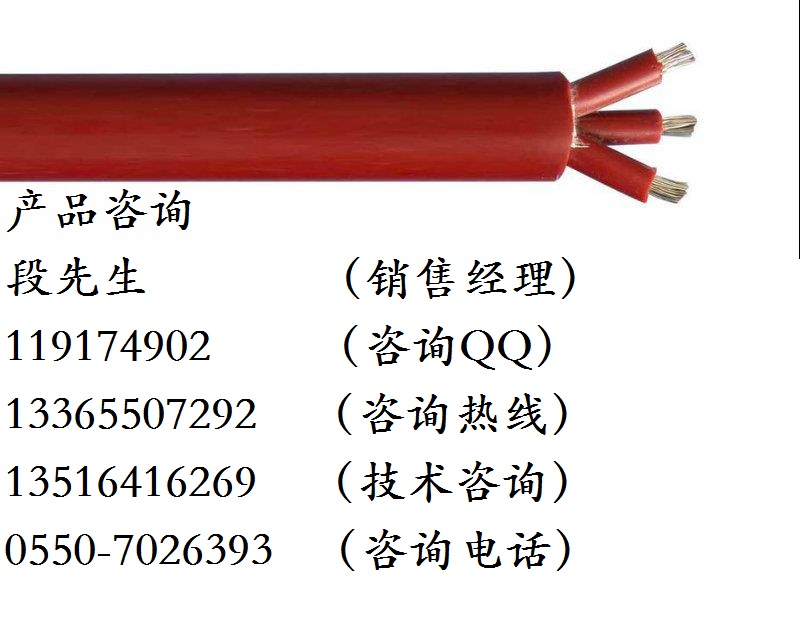 阻燃屏蔽硅橡膠電纜ZR-YGCP-3*6原始圖片3