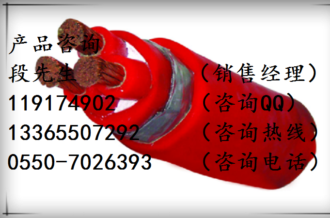鋼帶鎧裝耐高溫硅橡膠電纜ZRC-YGG22