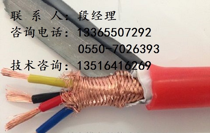 鋼帶鎧裝耐高溫硅橡膠電纜ZRC-YGG22