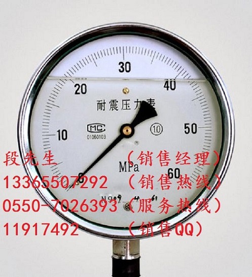 YN-100 0-6Mpa耐震压力表