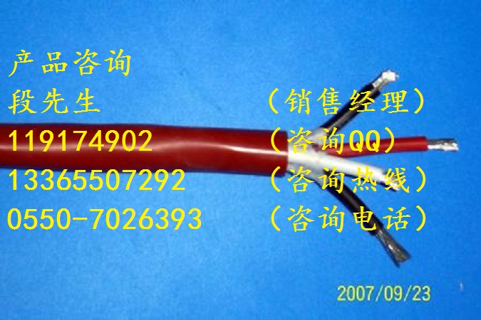 YGC-2*2.5耐高溫防腐防油耐腐蝕硅橡膠電纜原始圖片2