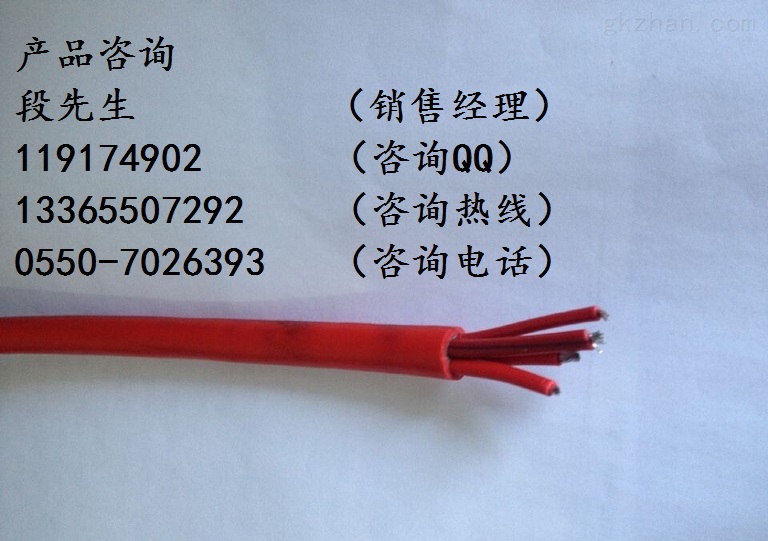 YGC-2*2.5耐高溫防腐防油耐腐蝕硅橡膠電纜原始圖片3