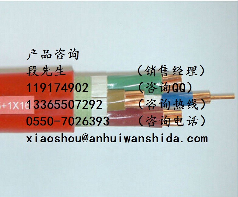BPGVFPP2硅橡膠變頻電纜原始圖片2