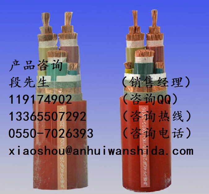 BPGVFPP2硅橡膠變頻電纜原始圖片3
