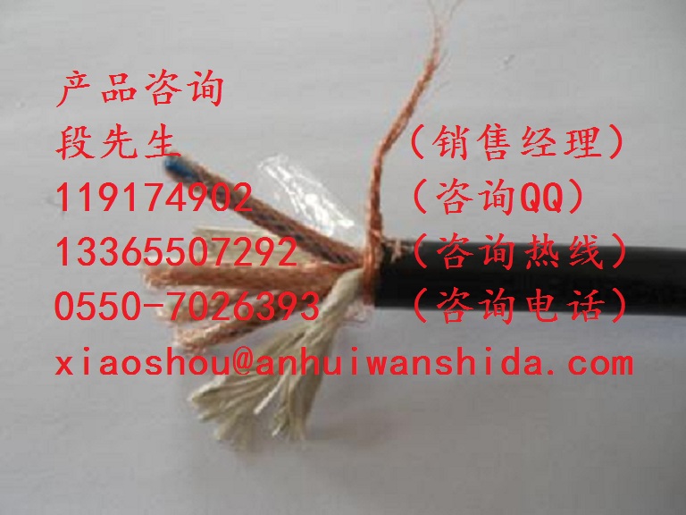ZR-DJFPFRP阻燃計算機電纜原始圖片3