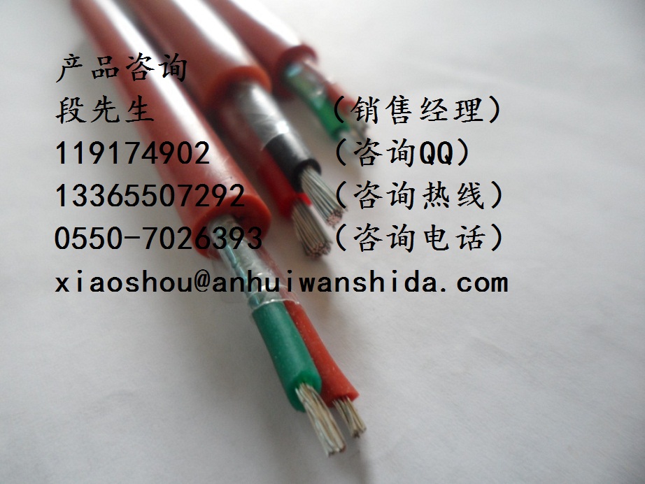 YGC-2*1.0硅橡膠電纜原始圖片3