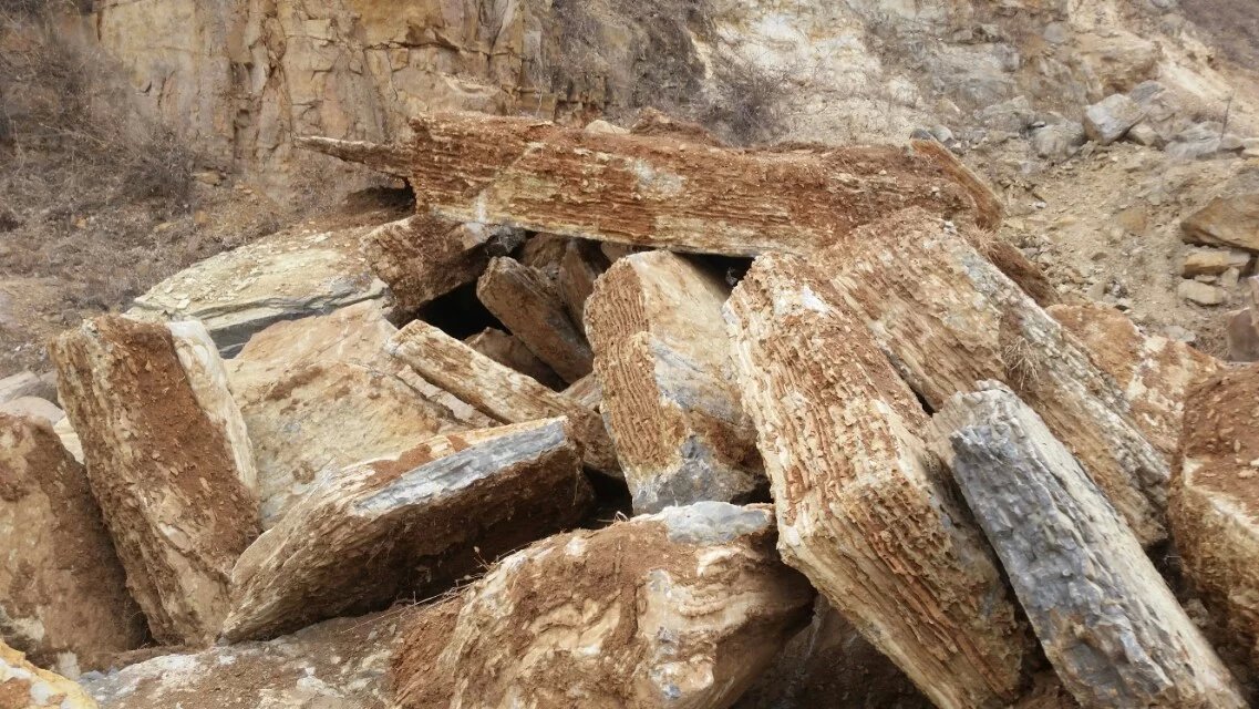 山東駁岸石銷售電話，15653651009原始圖片2