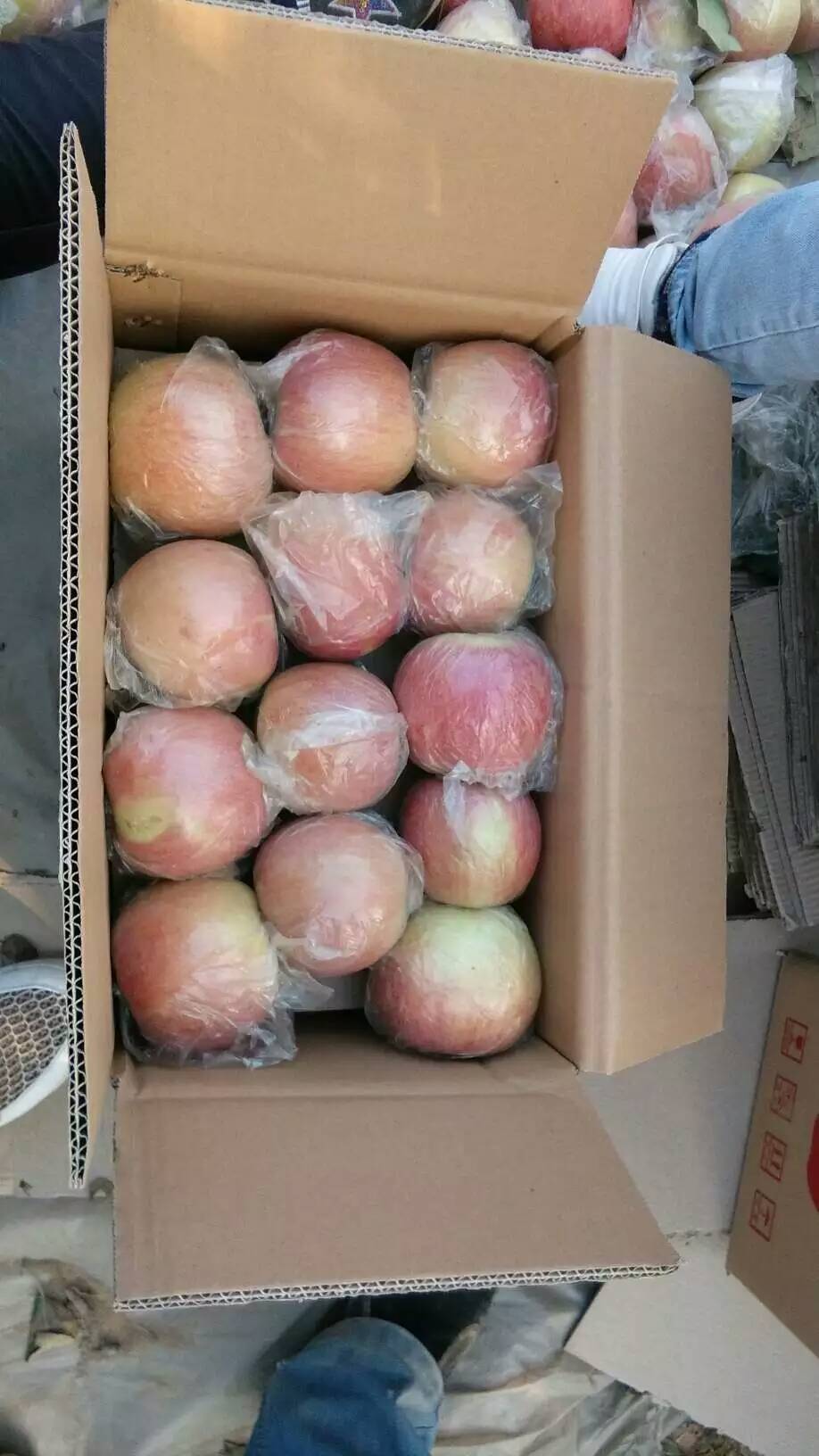 陜西膜袋紅富士蘋果分析價格，膜袋紅富士蘋果價格走勢