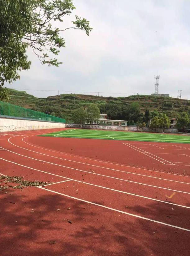 重慶透氣型塑膠跑道/西南區透氣型塑膠跑道工程
