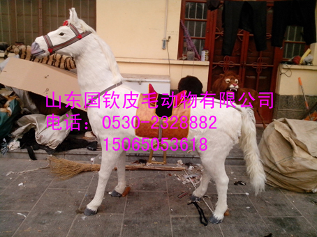大型馬標本模型制作廠家國欽工藝專業(yè)園林景觀動物供應制作