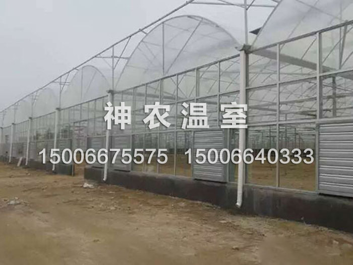 【一站式采購】連棟溫室大棚建造#育苗溫室大棚建造#新型智能溫室大棚【神農】