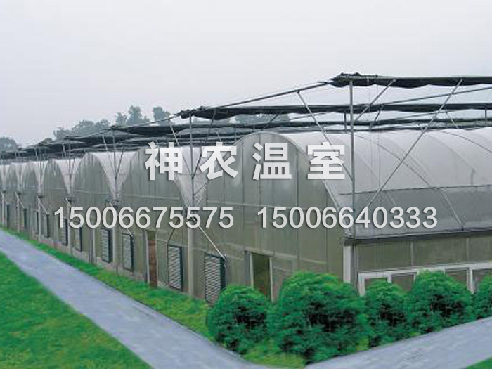 親！CALL me ！【連棟溫室大棚價格 玻璃連棟溫室建設(shè) 連棟薄膜溫室大棚】神農(nóng)