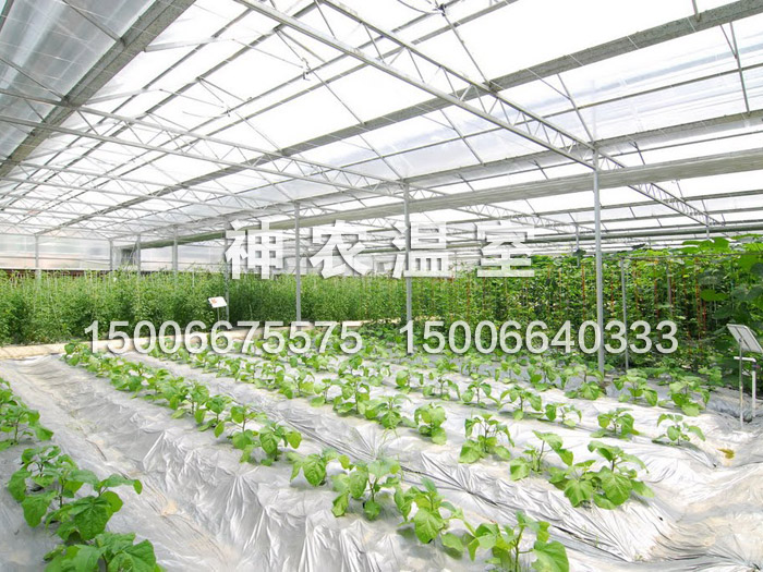 一個(gè)電話獲取貨源！【山東花卉溫室價(jià)格】【花卉溫室大棚建造】神農(nóng)