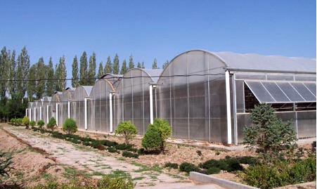 【拜托拜托！】園藝溫室建造*連棟智能溫室建造*冬暖式日光溫室造價