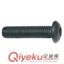 高強(qiáng)度半圓頭螺栓