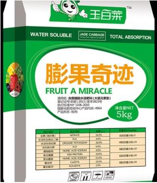 供應(yīng)龍利奧黃腐酸鉀沖施肥肥小子