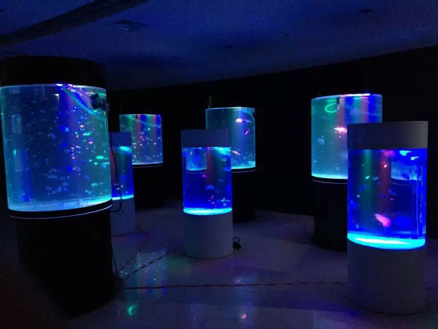 上海{yl}的景观海洋生物展租赁公司【推荐】——山海洋展出租