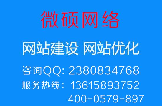 网站建设公司/电子商务网站建设