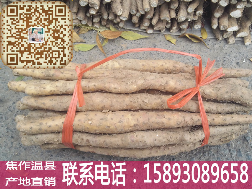蘭溪鐵棍山藥價(jià)格