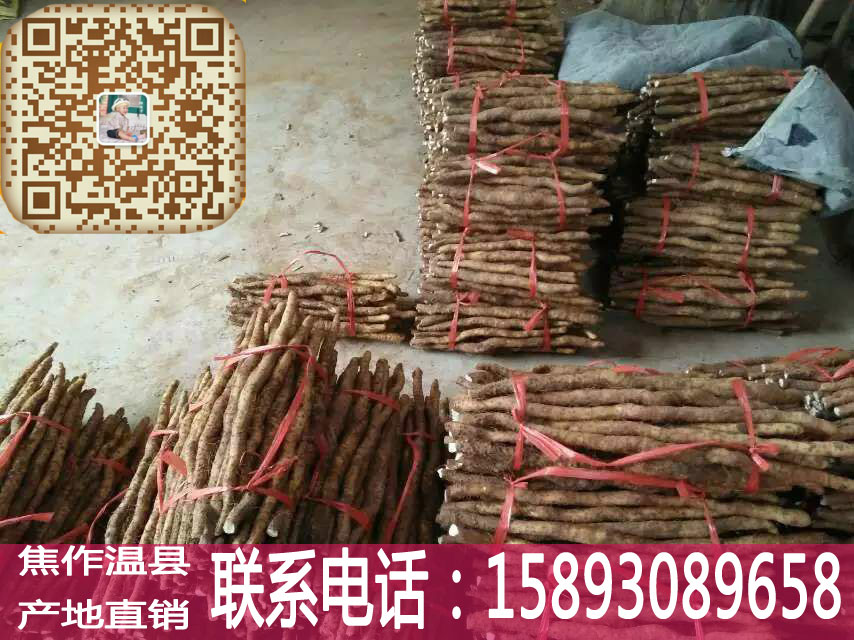 建德鐵桿山藥批發