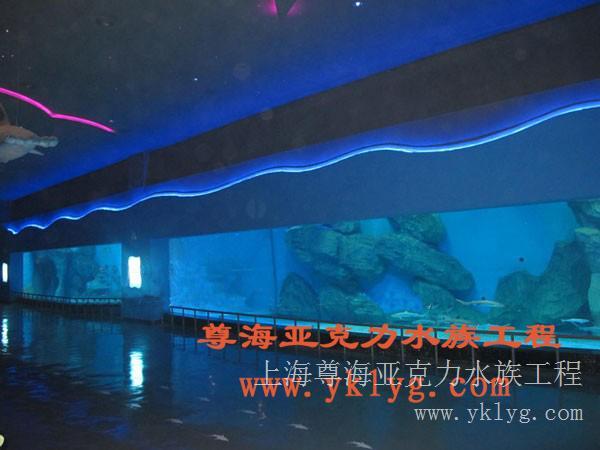 上海水族館生產(chǎn)廠家/深圳水族館設(shè)計(jì)