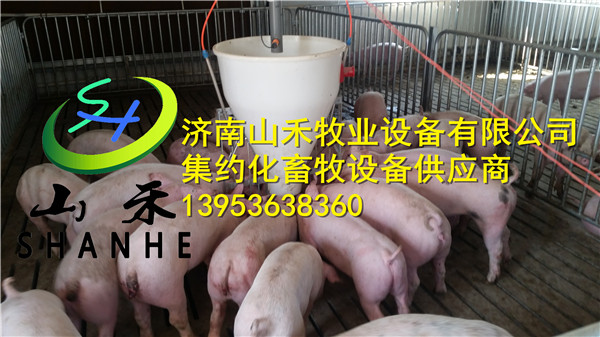 山禾牧业——专业的液态料线提供商_加工液态料线养猪液态料线液态料线生产厂家