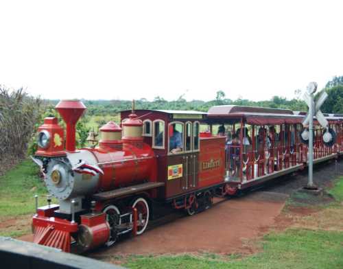 托馬斯小火車定制_小火車