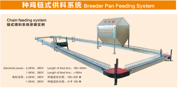 鸡鸭自动料线厂家/肉鸡供料系统/种鸡供料系统/自动养殖料线、水线