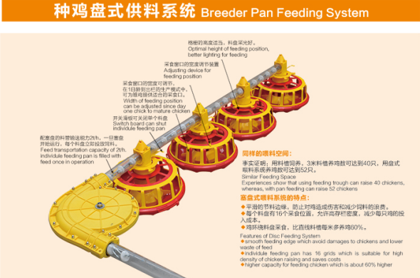 鸡鸭自动料线厂家/肉鸡供料系统/种鸡供料系统/自动养殖料线、水线