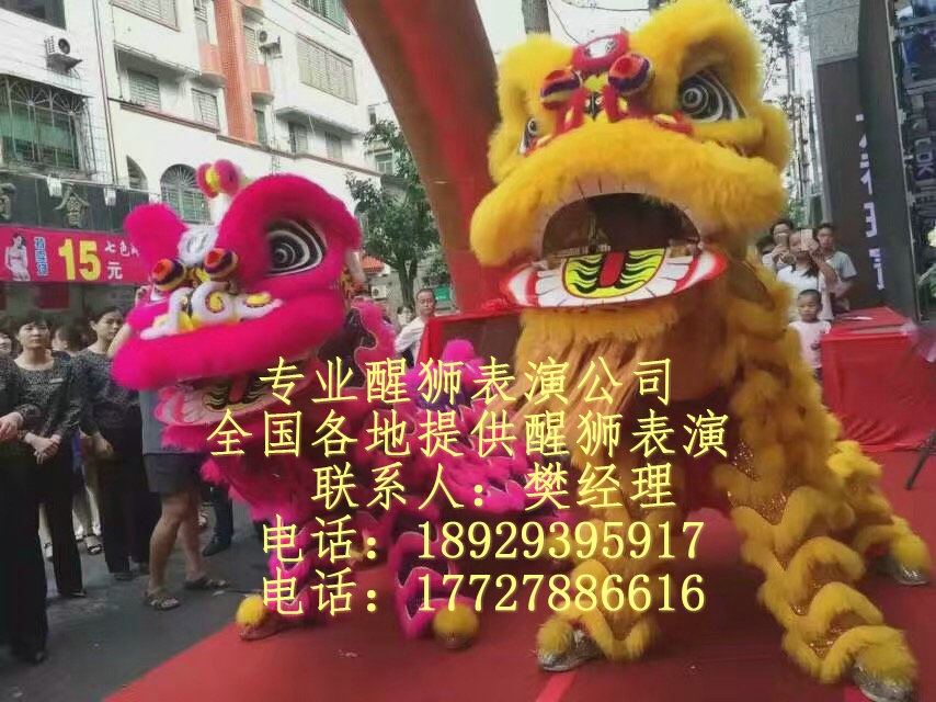 深圳開業(yè)醒獅，深圳舞獅表演，深圳舞龍舞獅表演，深圳醒獅采青