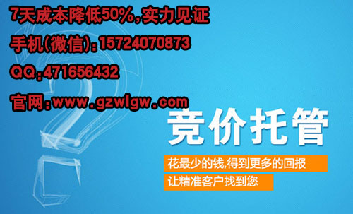 广州竞价推广外包【7天效果提50%】