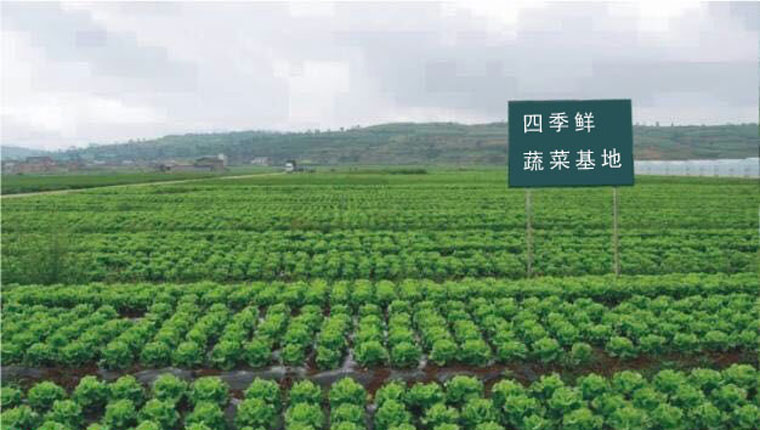 鎮(zhèn)江蔬菜、食堂配送、承包