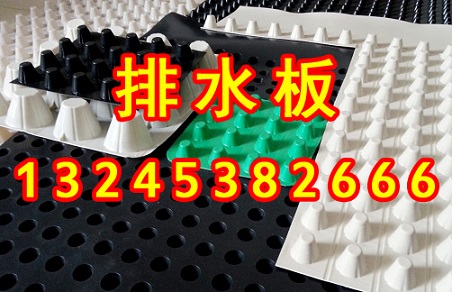 塑料排水板價格/塑料排水板施工視頻