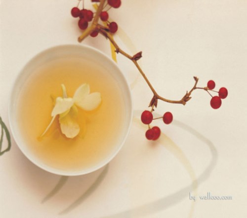 紅薏米懷菊茶怎么樣 養(yǎng)生懷菊茶價格