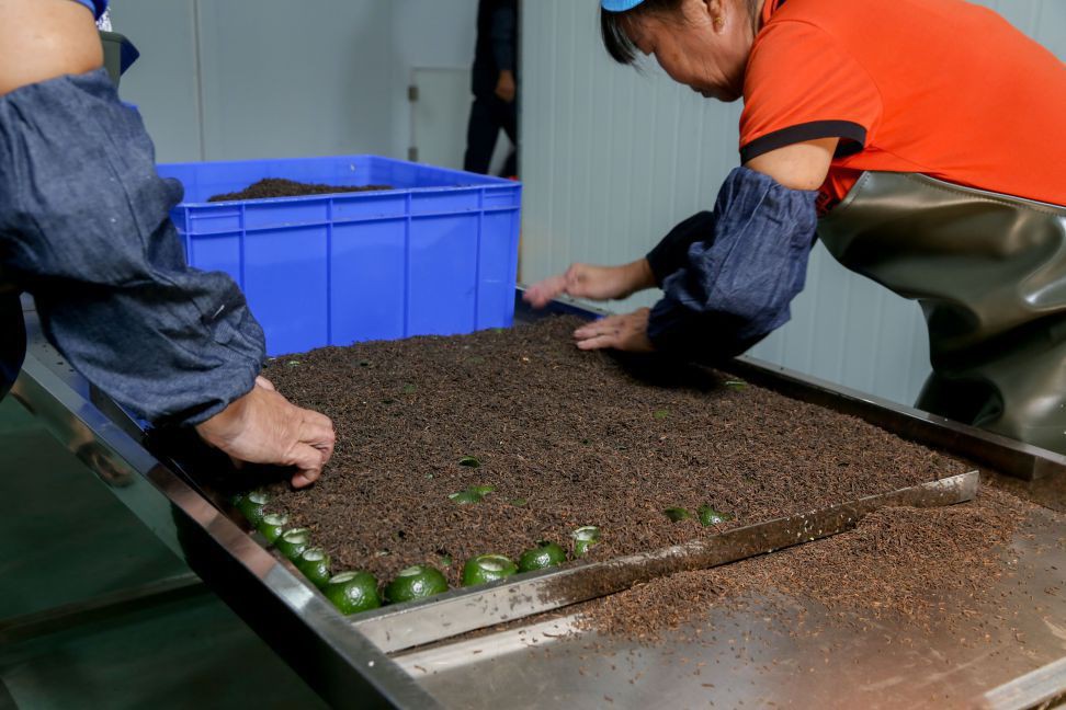 瑞金柑普茶代加工、批發(fā)、零售｜紫云齋柑普茶廠家