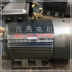 西瑪電機(jī) YVFE2-200L-4{gx}節(jié)能型變頻調(diào)速電機(jī)