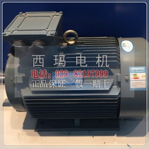 西瑪電機(jī) YVFE2-90L-6{gx}節(jié)能型變頻調(diào)速電機(jī)