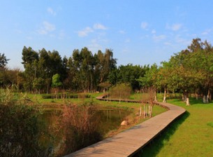 威海公園休閑設施-威海防腐木工程-威海木橋生產廠家-木橋制作公司