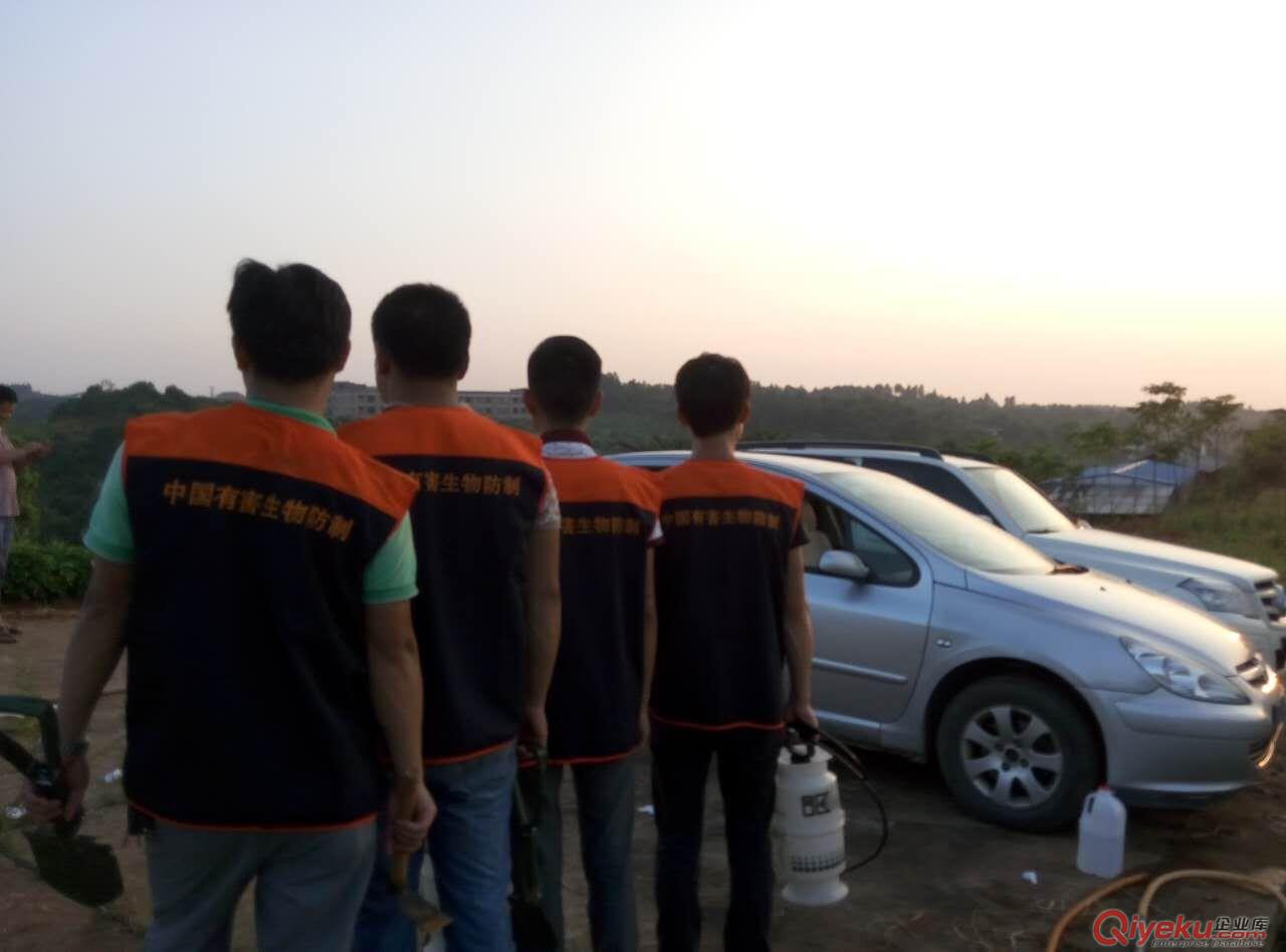 武漢專業(yè)防治白蟻專家方法