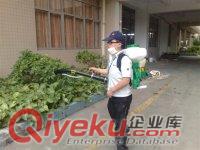 武漢專業滅蚊蠅防治方法