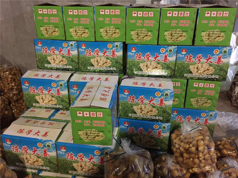 哪里能買到放心的大姜 陳學無公害農產(chǎn)品