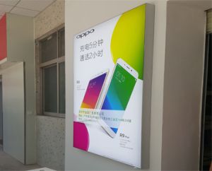 深圳市UV噴繪加工廠家/天堂鳥UV噴繪