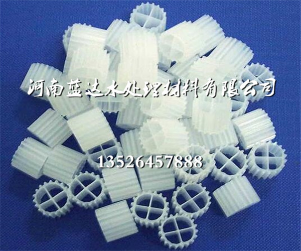 衡水MBBR填料_MBBR工藝填料_規(guī)格